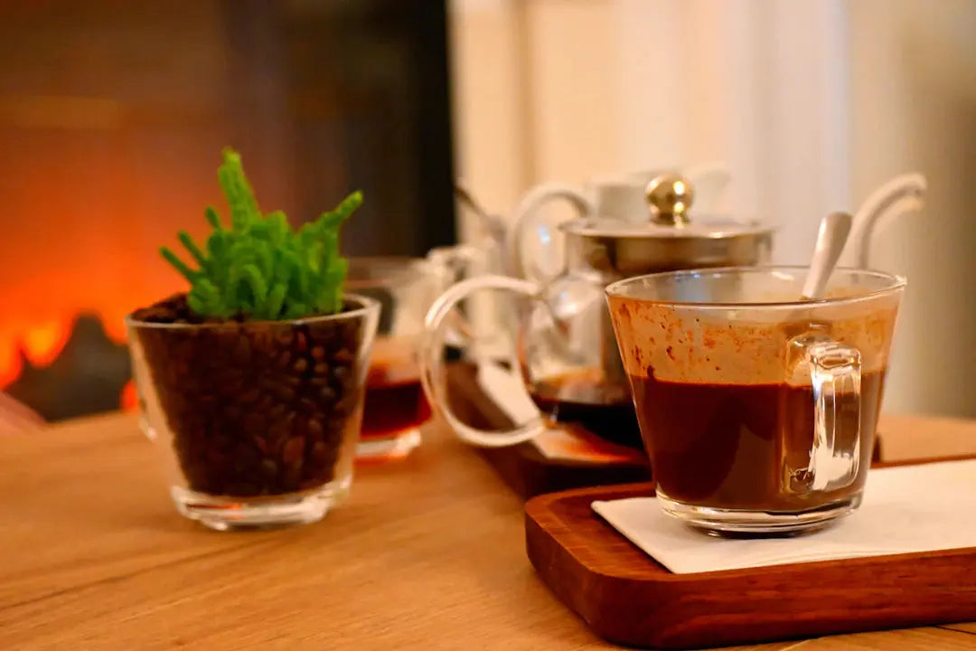 The Impact of Coffee Farming on Sustainability Insights from The Veeg