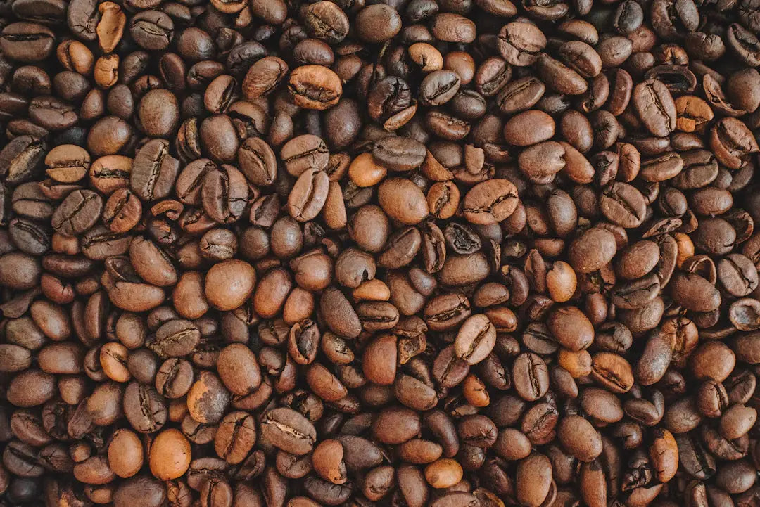 Experience Rich, Earthy Flavors with Gourmet Coffee Selections